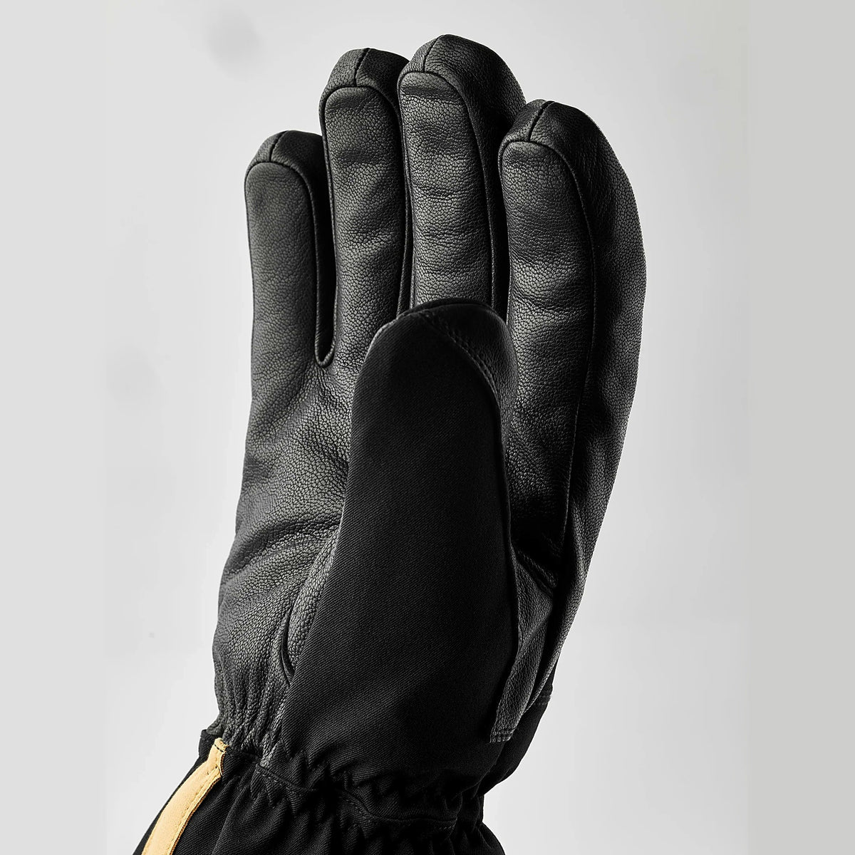 HESTRA PRO: Gore-Tex Pro 5-Finger Glove