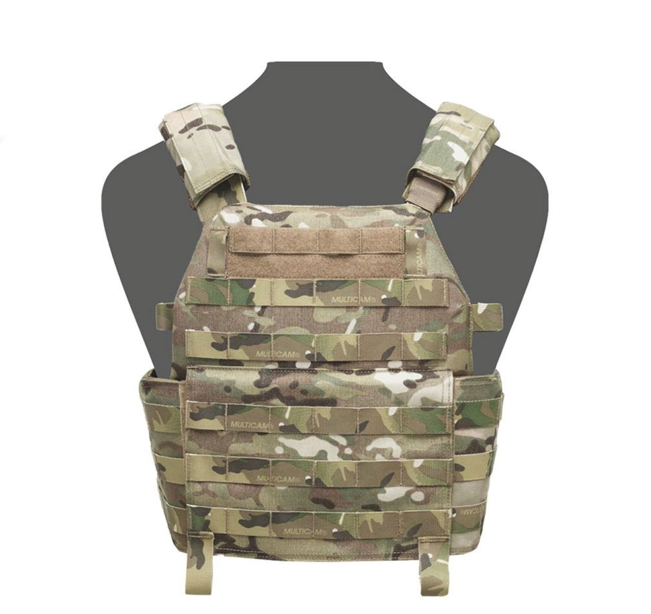 WARRIOR ASSAULT: DCS Special Forces Plate Carrier, Base Only