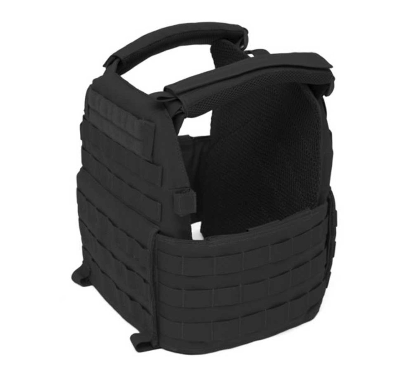 WARRIOR ASSAULT: DCS Special Forces Plate Carrier, Base Only