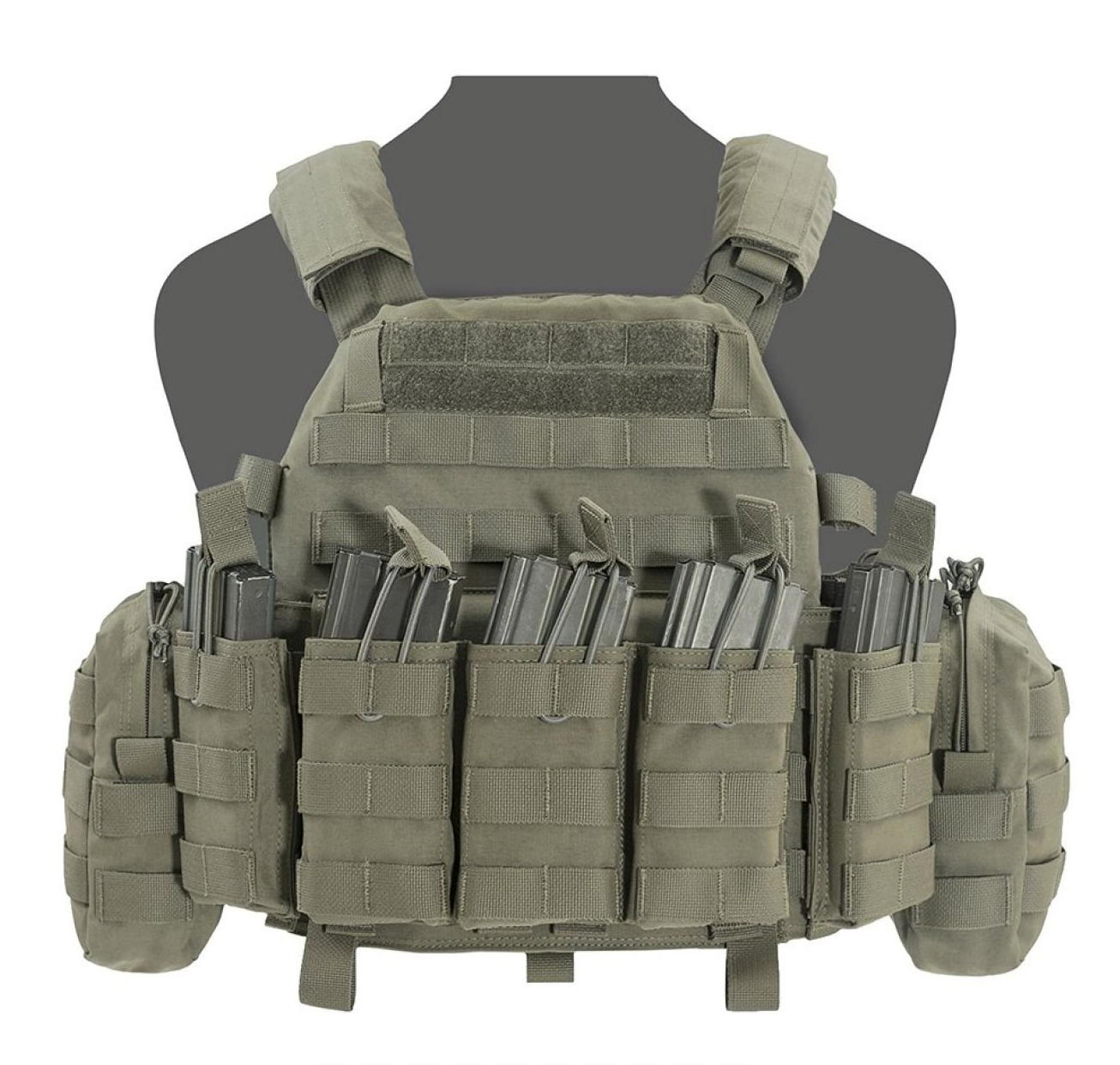 WARRIOR ASSAULT: DCS Special Forces Plate Carrier, Base w/ 5 Open Mags, 2 Utility Pouches