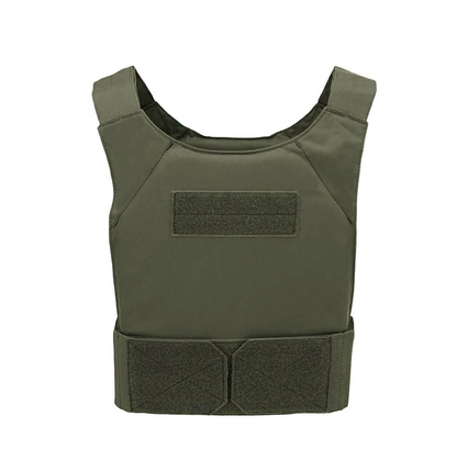 WARRIOR ASSAULT: Covert Plate Carrier Base