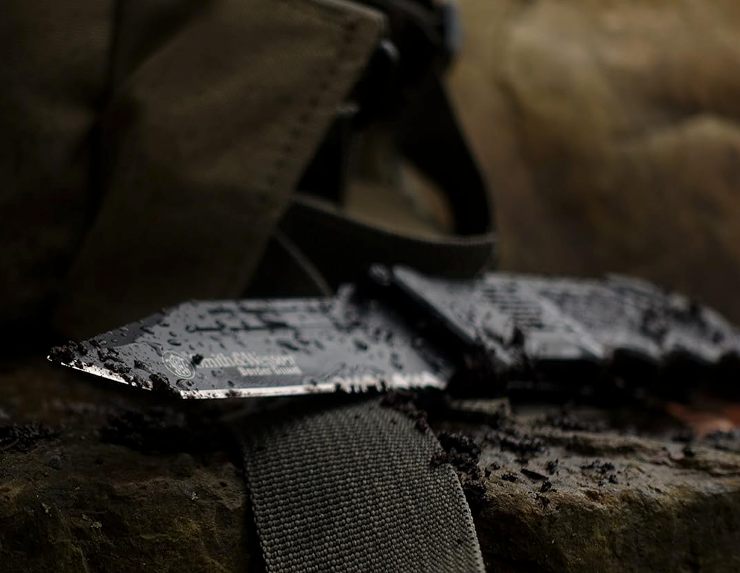 SMITH & WESSON: Border Guard 2