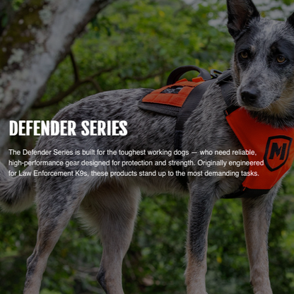 MODERN ICON: Defender Standard Lead