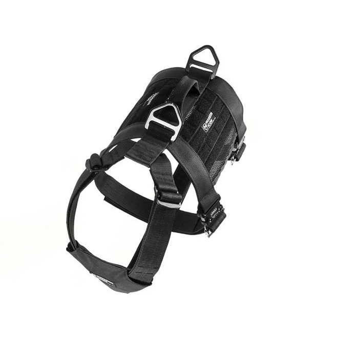 MODERN ICON: Tracking Harness