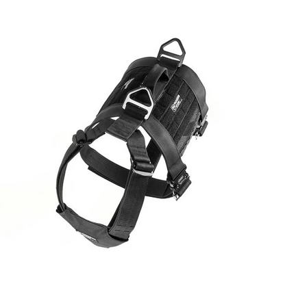 MODERN ICON: Tracking Harness