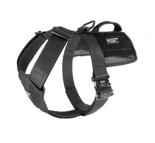 MODERN ICON: Patrol Harness