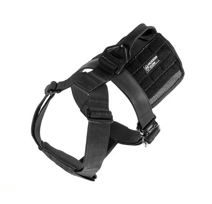 MODERN ICON: Patrol Harness