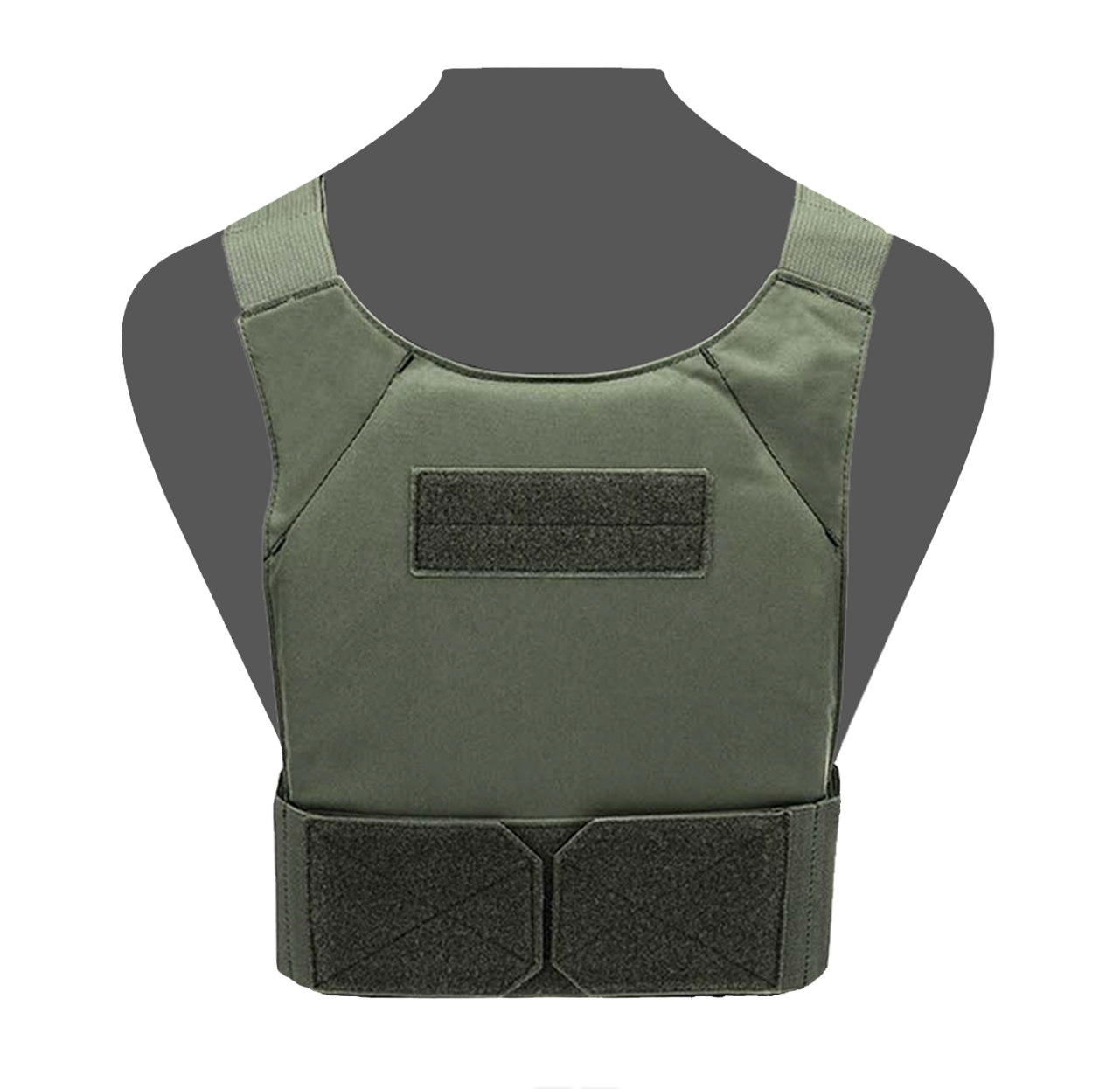 WARRIOR ASSAULT: Covert Plate Carrier Base