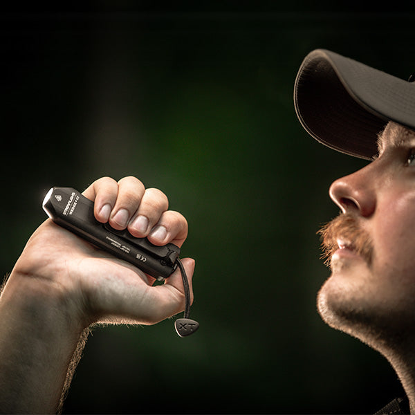 Streamlight Wedge XT 